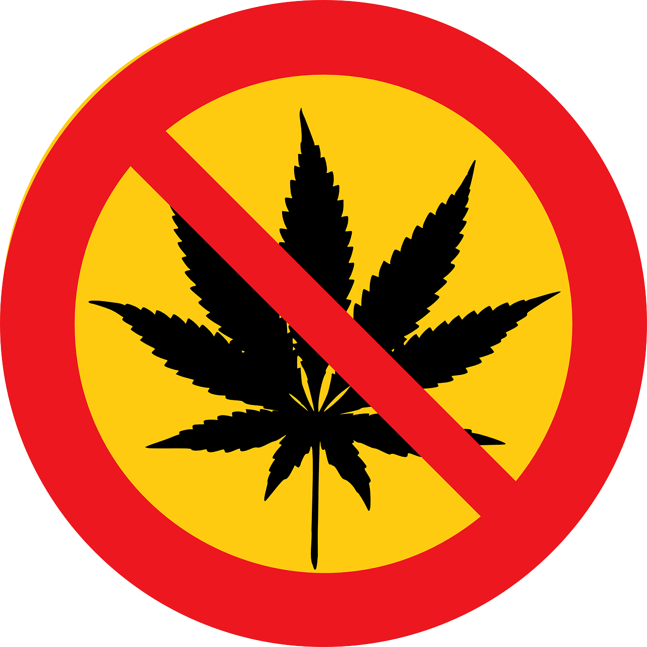 周雅琴的勤劳与家的温暖——一回家就帮家里干活