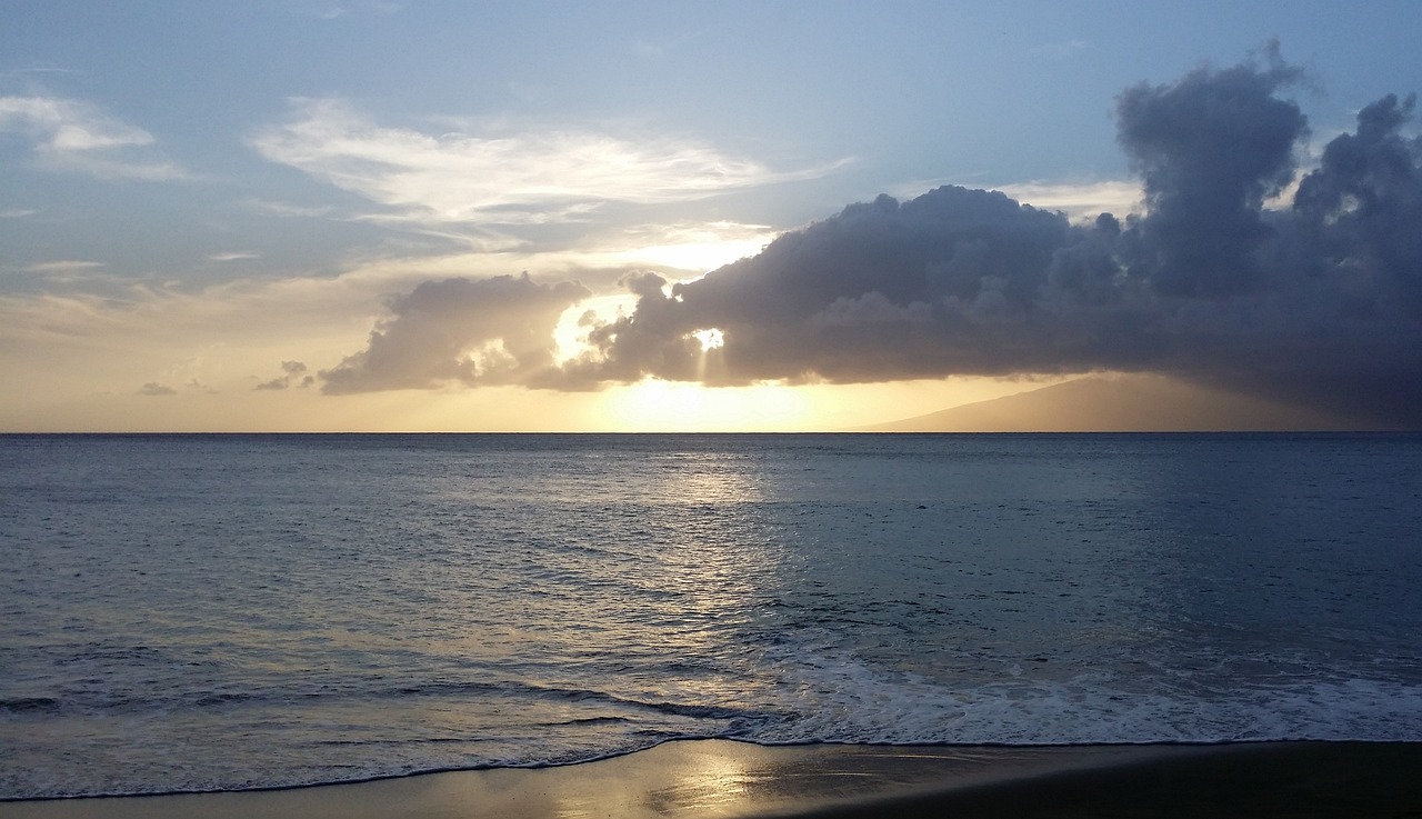 爱在日落之前的旋律，一场灵魂的浪漫之旅