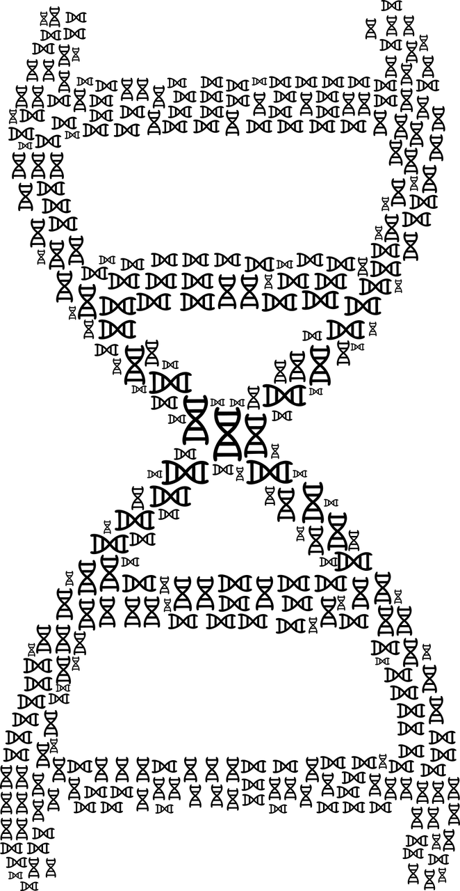 核酸结果查询，艺术与科技的交响曲