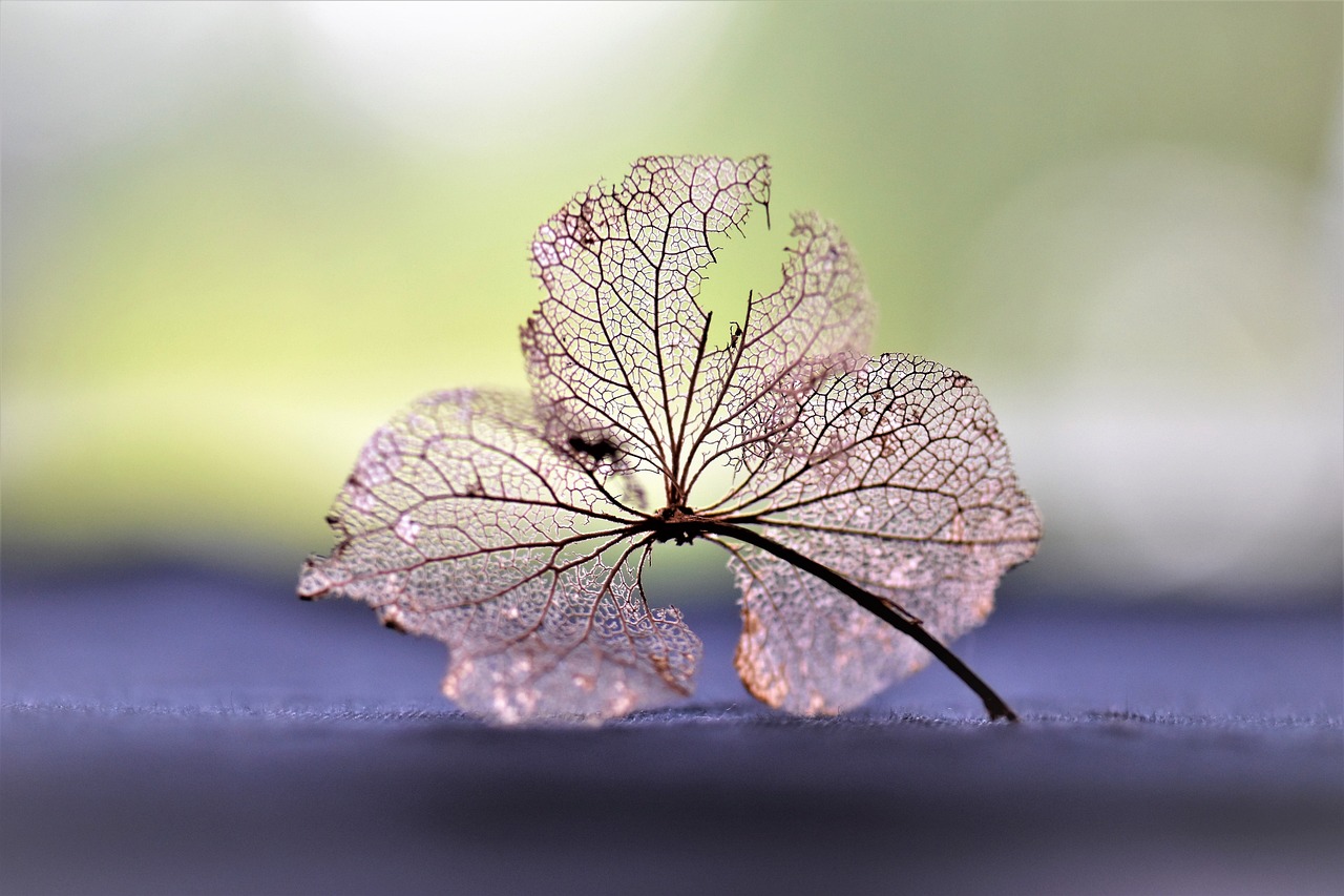 花火不灭，情歌里的青春记忆——我们能不能不分手