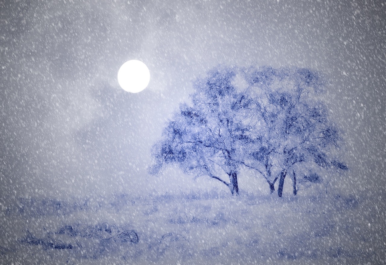 北京雪舞飘扬，冬日浪漫如诗