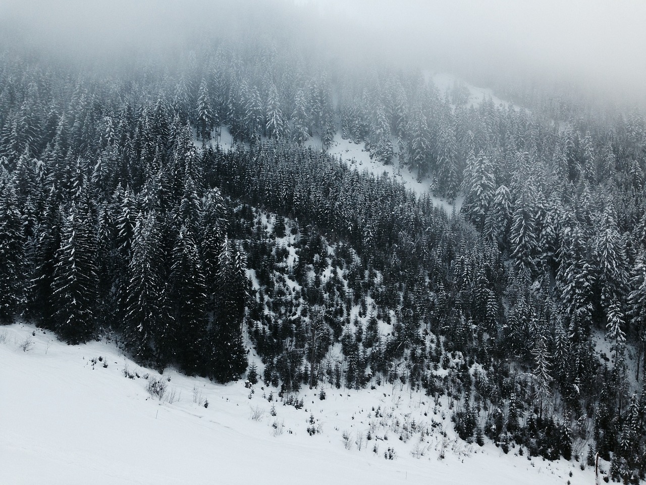 雪之韵，穿越千年的诗词文学画卷
