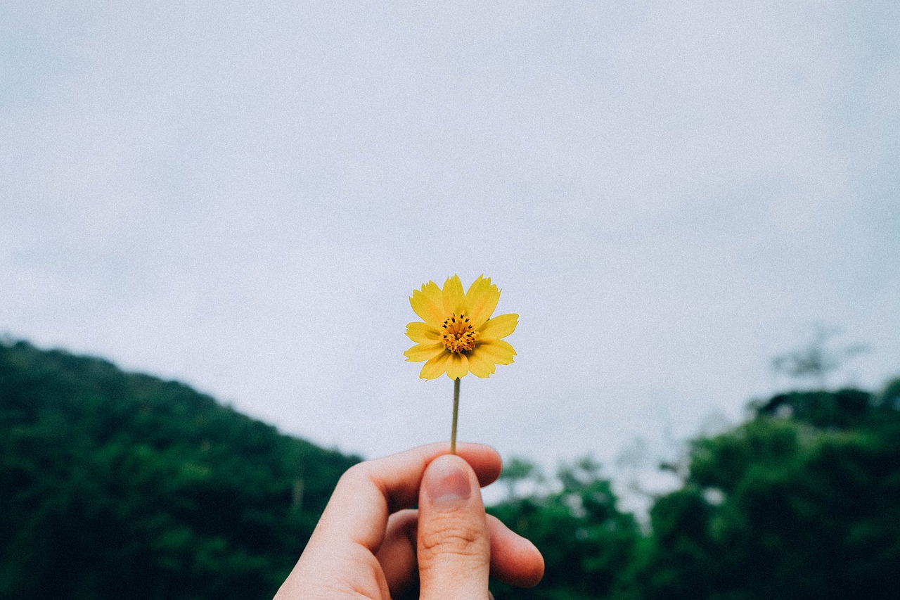 留下来陪你生活