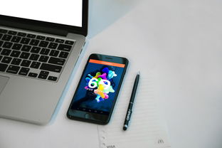 苹果11 Pro，经典之作，优雅与性能的完美结合
