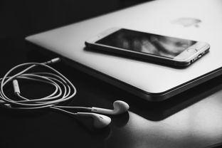 从iPhone序列号中解读的秘密，一场科技与艺术的邂逅