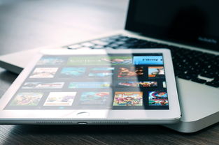 苹果笔记本所有型号，从经典到创新，MacBook系列的全解析