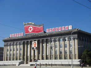 圆明园黑天鹅相继离世，园方积极回应