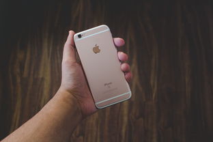 深入解析，iPhone机型大比拼，哪款最适合你？