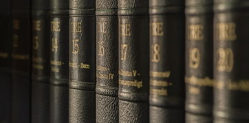 20字的文学魅力