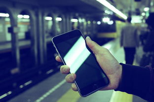 捡到 iPhone 后如何安全且合法地处理 ID 锁问题