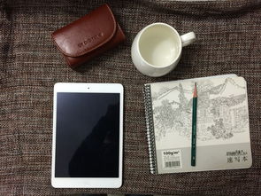 苹果13 Pro，价格背后的科技与美学价值