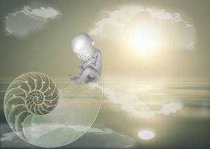思乡之情，笔尖上的温暖——1-6年级诗文学中的故乡情怀