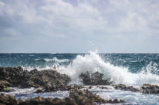 海上生明月，诗意与文化的交融