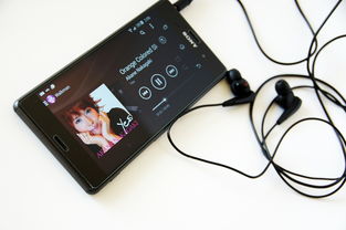 青春的旋律，学生歌曲大全100首，唤醒校园记忆