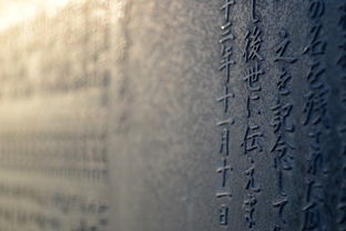 之死靡它，文学与文化的永恒追求