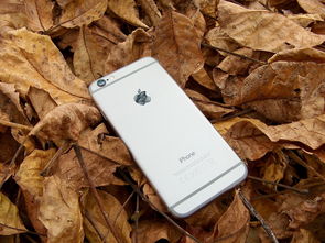 苹果iPhone 15最新外观设计，科技与美学的完美融合