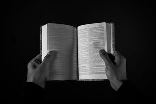 二年级文学中的经典文化体验