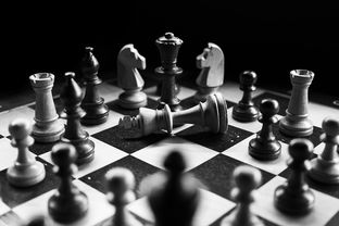 探寻实在的近义词之美——在文学与文化中感受真实的力量