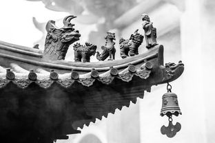 品味中华之美—精选中国经典诗词100首，感悟千年文化的诗意与哲理