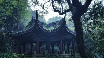 清明时节雨纷纷—古典诗词中的清明节韵