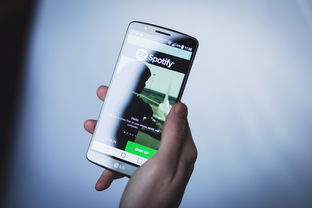 探索音乐的自由天地，全部免费的音乐App指南