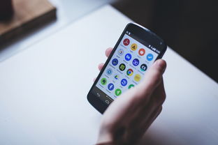 探索Google Play官网入口，解锁应用商店的奥秘