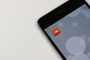 音乐随行，探索安卓音乐播放器App的魔力