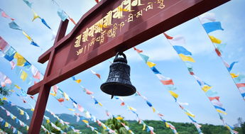 重阳节，一个充满诗意与文化内涵的传统节日