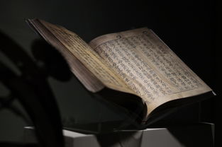 穿越千年的诗意之旅，走进诗经·采薇的文学文化世界