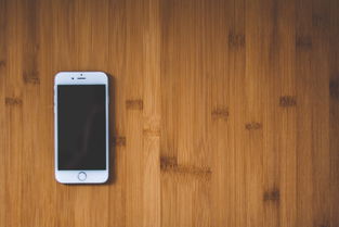 全面解析iPhone 13屏幕尺寸，更适合你的理想选择