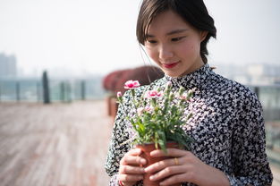 女生专属，打造清新脱俗的背景图艺术
