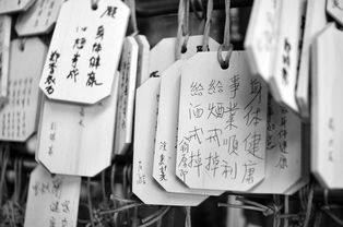 音乐自由行，解锁免费歌曲下载版的奥秘