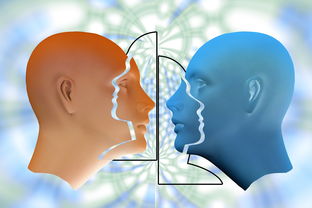 艺术欣赏的奥秘，探索感知、情感与理解的交织