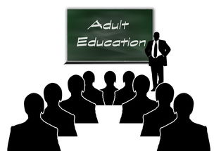2025年艺术教育新纪元，大学不再招艺考生？深度解析艺术招生政策的未来趋势