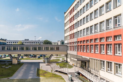 探索文科大学的世界，知名院校一览