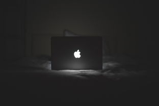 深度解析，苹果13系列的价格与价值