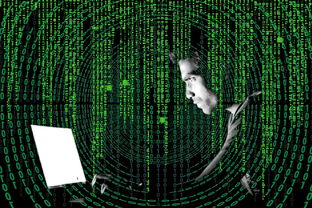 探索音乐的世界，2023年音乐播放器排行榜前十名深度解析
