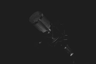 音乐App排行榜，你的音乐生活指南针