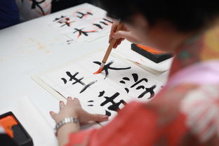 艺术欣赏，50字作文中的无限魅力