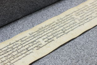 文学之旅，探索文字的力量与心灵的触动