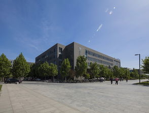 探索中国美术学院，视觉传达专业所在的校区全解析