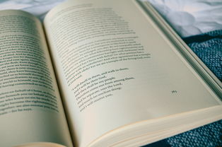 文学类阅读，10篇精选作品，带你领略文字的魅力
