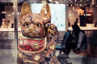 北京猫舍，都市中的猫咪乐园