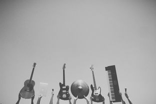 音乐播放软件，探索数字时代的音乐伴侣