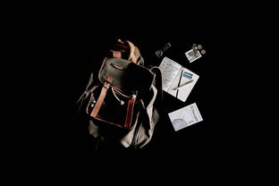 电影中的音乐之旅，西方音乐电影的魅力与启示