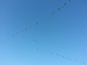 毛不易免费听，音乐的自由之风，吹进你的生活