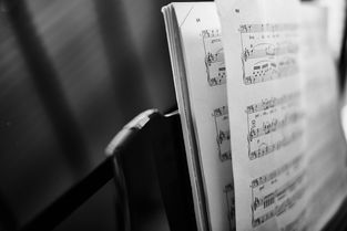 探索德国音乐教育的瑰宝，德国音乐学院排名深度解析