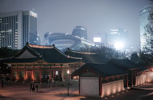 探索艺术殿堂，国家大剧院2024年招聘指南